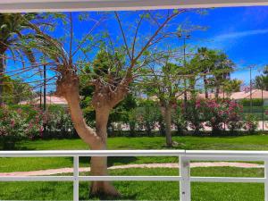 A garden outside Lorentz Holiday Home