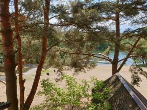una vista di una spiaggia con alberi e una panchina di Apartament Pod Sosnami 1 Noclegi OTW Borówno Wlk Skarszewy a Skarszewy
