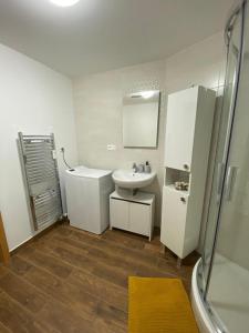 Kuhinja ili čajna kuhinja u objektu Apartman Amore