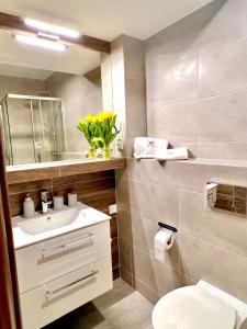 Ванная комната в Apartament SPA 01 Resort Kozubnik blisko Szczyrk - 5D Apartamenty