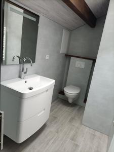 La salle de bains est pourvue d'un lavabo blanc et de toilettes. dans l'établissement La clé du Champ, à Le Clerjus