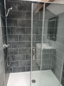 a shower with a glass door and a sink at La clé du Champ in Le Clerjus