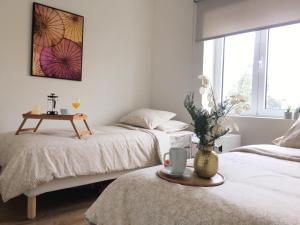 Zdjęcie z galerii obiektu Lujoso Apartamento en San Cristobal de la Laguna w mieście La Laguna