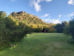 a large grass field with a mountain in the background at Ben Nevis Guest House in Clocolan