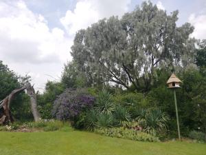 Ben Nevis Guest House في Clocolan: طاعم الطيور في حديقة بها زهور وأشجار
