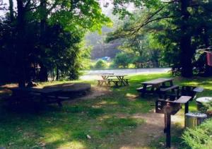 un grupo de mesas de picnic y bancos en un parque en Amber Lantern One-Bedroom Cottage, en Lake George