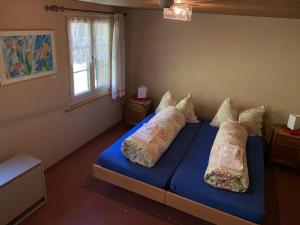 una camera da letto con letto blu, cuscini e finestra di Fischers Lodge a Innerthal
