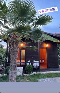 uma casa com uma palmeira em frente em Blen Grand em Berat