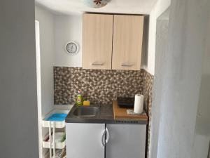 a small kitchen with a sink and a counter at Apartment Surdić in Valun