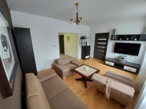 a living room with a couch and a tv at Apartmán Eva - plně vybavený byt - Týn nad Vltavou in Týn nad Vltavou