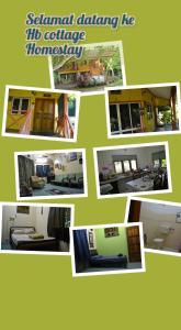 A planta de hb cottage homestay