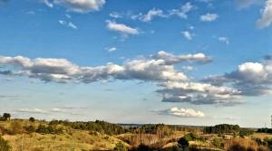 Zdjęcie z galerii obiektu Apartament ,, COŚ NIECOŚ ,, Suwałki LOFT, KLIMATYZACJA, PRYWATNY PARKING, MONITOROWANE ZAMKNIĘTE OSIEDLE w mieście Suwałki