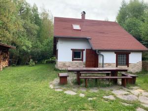 una casa con una mesa de picnic delante de ella en Hygge chaloupka v horách, en Český Jiřetín