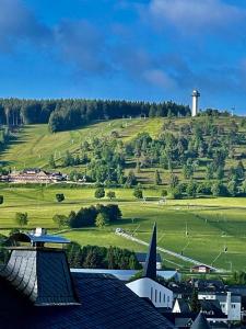 een uitzicht op een groen veld met een vuurtoren op een heuvel bij Pause in Willingen