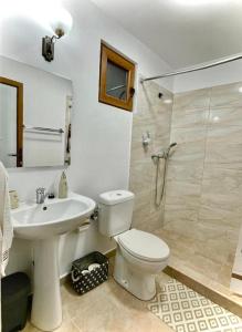 Ванная комната в Agapia Agapescu