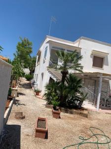 una casa con palmeras delante en VILLA PERLA MARINA en Torre Ovo