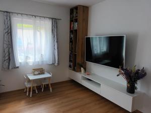 ein Wohnzimmer mit einem großen Flachbild-TV in der Unterkunft Rodinný dům Alois in Hronov
