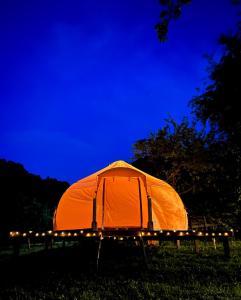 ein orangenes Zelt, das nachts im Gras sitzt in der Unterkunft Flore's Garden Glamping in Bran
