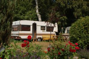 Camping Rogowo外面的花园