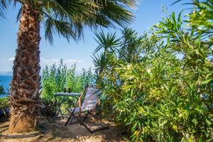 a table and a chair next to a palm tree at Sea Whisper Villa in Peloponnese in rkadiko Chorio