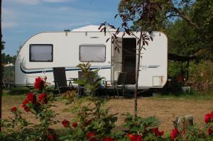 Camping Rogowo外面的花园