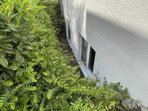 uma linha de plantas ao lado de um edifício em Haus Niedersachsen Apartment 12 em Timmendorfer Strand