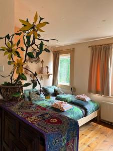 een slaapkamer met een bed met een plant erop bij La Cabaña in Zandvoort