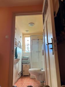 een badkamer met een douche, een wastafel en een toilet bij La Cabaña in Zandvoort