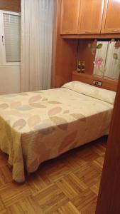uma cama num quarto com piso em madeira em Piso centrico en Pravia, con 3 habitaciones sin ascensor em Pravia