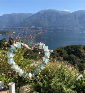 um coração feito de frascos de vidro no topo de uma montanha em Sollevante Ascona em Ascona