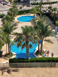 einen Blick über einen Pool mit Palmen in der Unterkunft Rocasol - Suites in Calpe