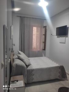 Postel nebo postele na pokoji v ubytování Hostal Puerta Carmona