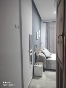 Postel nebo postele na pokoji v ubytování Hostal Puerta Carmona