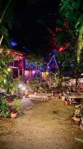 a house with a bunch of potted plants and lights at Leaf House Bungalows SHA PLUS approved in Ko Lanta