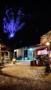 a building with blue lights in the night at Leaf House Bungalows SHA PLUS approved in Ko Lanta