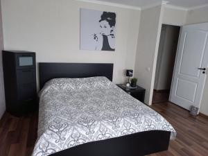 a bedroom with a bed with a gray and white comforter at Vienibas apartment in Daugavpils