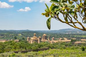 a view of a large building in the distance at Finca La Capella in Poblet