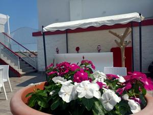 Gallery image of Hotel Vienna in Lignano Sabbiadoro