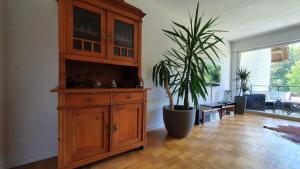 Gallery image of Black Forest Schwarzwaldperle in Häusern