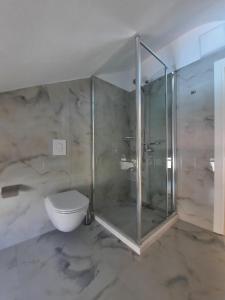 La salle de bains est pourvue d'une douche en verre et de toilettes. dans l'établissement Guesthouse "PELIVANI", à Berat