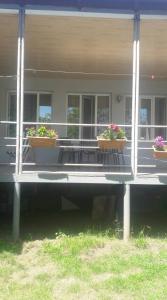 Zahrada ubytování Maka's Guesthouse