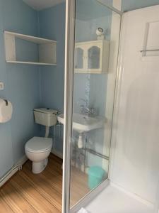 a bathroom with a toilet and a sink at Le Pourquoi pas in La Bourboule