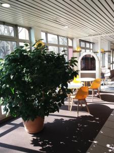 een grote plant in een kamer met een tafel en stoelen bij EGG HOTEL - HOTEL LES GENS DE MER Dieppe in Dieppe