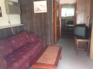 ein Wohnzimmer mit einem roten Sofa und einem TV in der Unterkunft Amber Lantern Two-Bedroom Cottage in Lake George