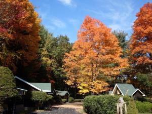 una casa con árboles de otoño en el fondo en Amber Lantern Two-Bedroom Cottage, en Lake George