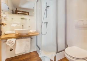 uma casa de banho com um chuveiro, um lavatório e um WC. em Alpen Gasthof Apartments Hohe Burg em Trins