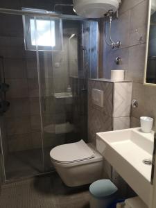 ein Bad mit einer Dusche, einem WC und einem Waschbecken in der Unterkunft Apartmani Gracin Zorka in Primošten