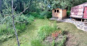 A garden outside La Yurta de Gaia