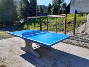 Stolní tenis v ubytování Pension Lesná nebo okolí