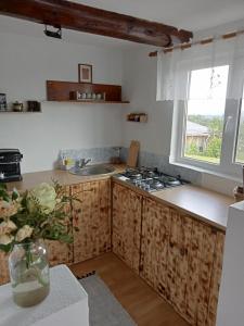 una cucina con piano cottura, lavandino e finestra di Casuta din Deal a Vaideeni